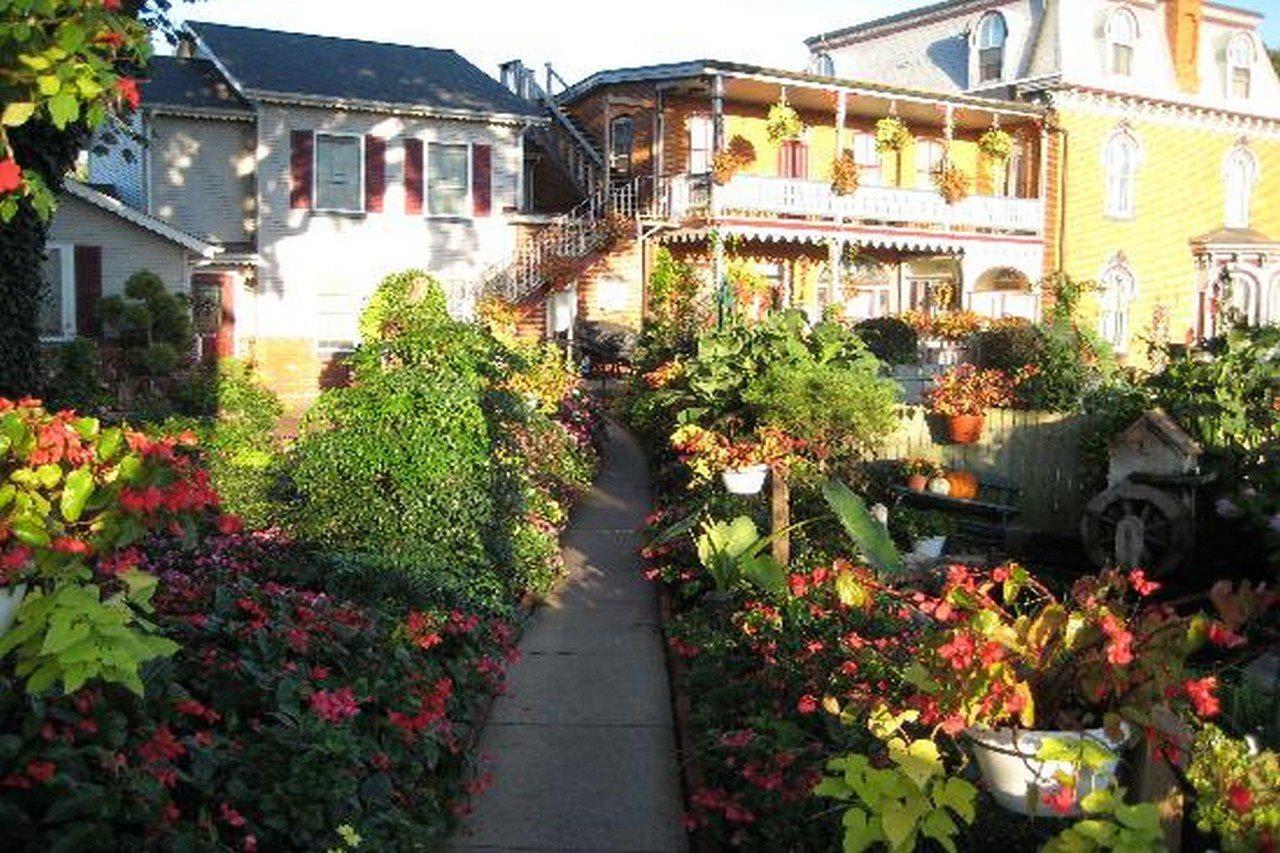 Greystone Manor Bed & Breakfast Bird-in-Hand Exteriör bild